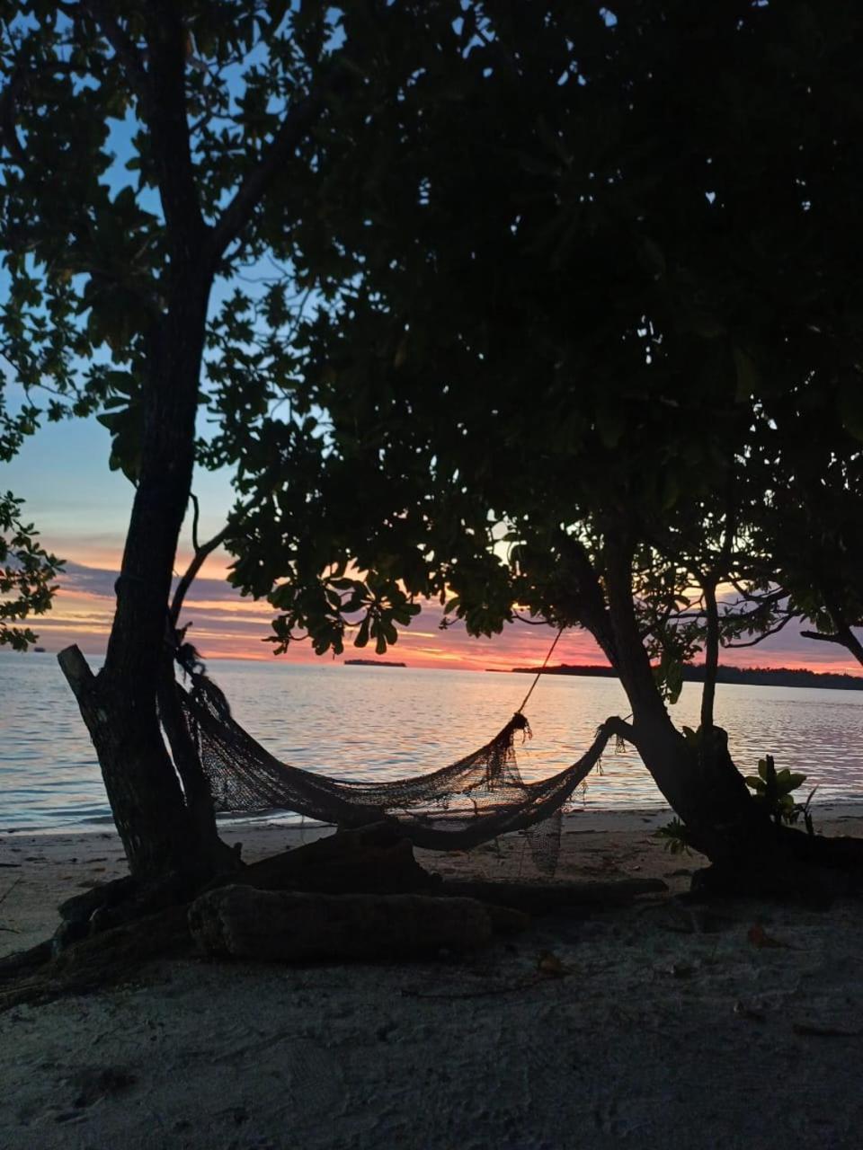 Coco Huts Guest House Waisai Extérieur photo